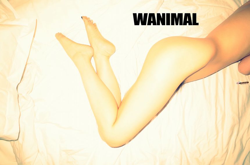 WANIMALٷƷ ͼ[108P] ڹ 8VIP P.1 