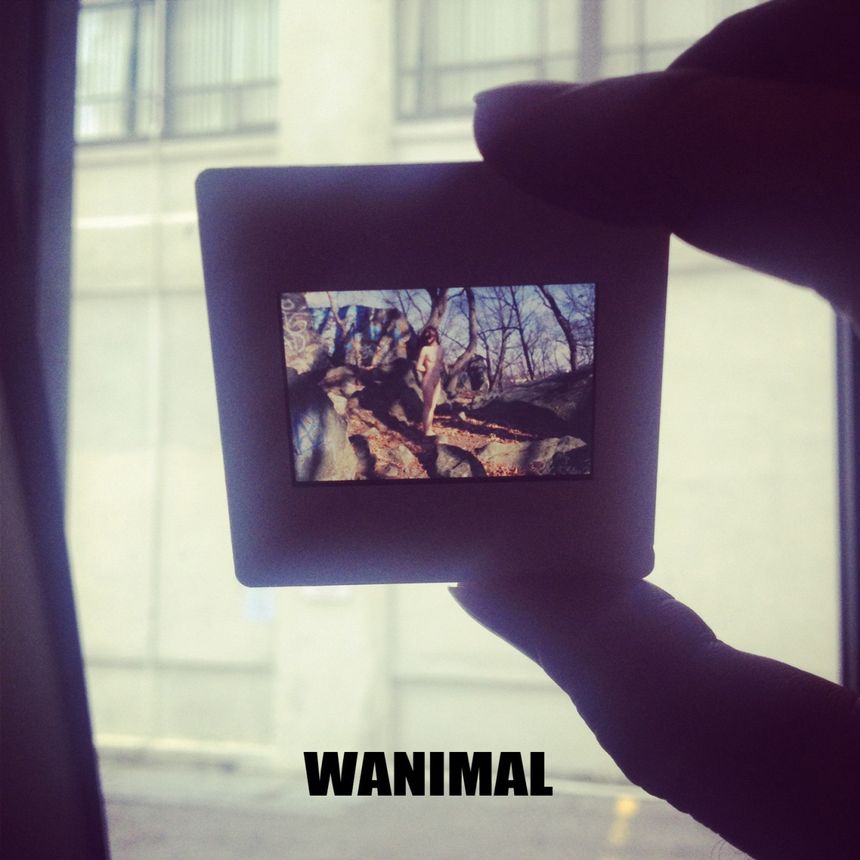 [100P] ʥ WANIMAL (ʮ) ͼ P.4