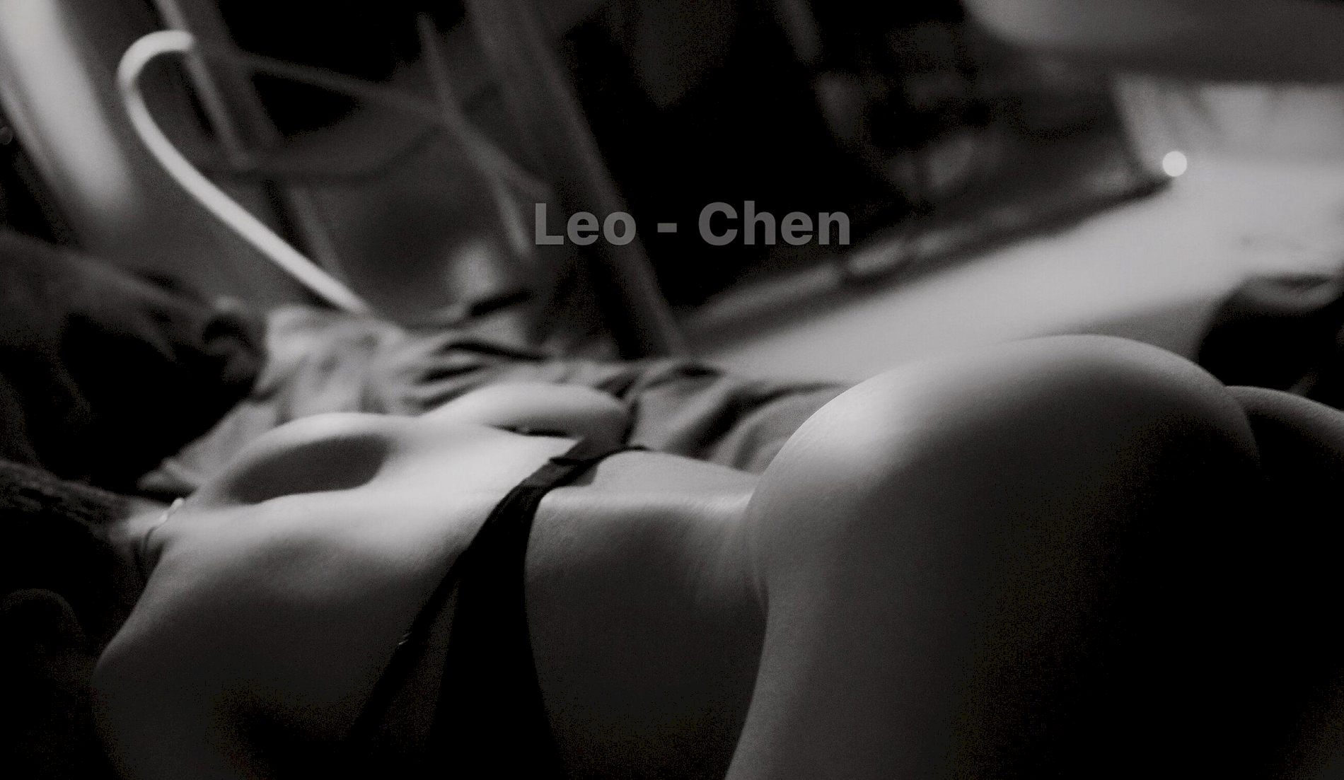 ģ дʦ Ʒ ղؼ  Chen ģ Leo P.3