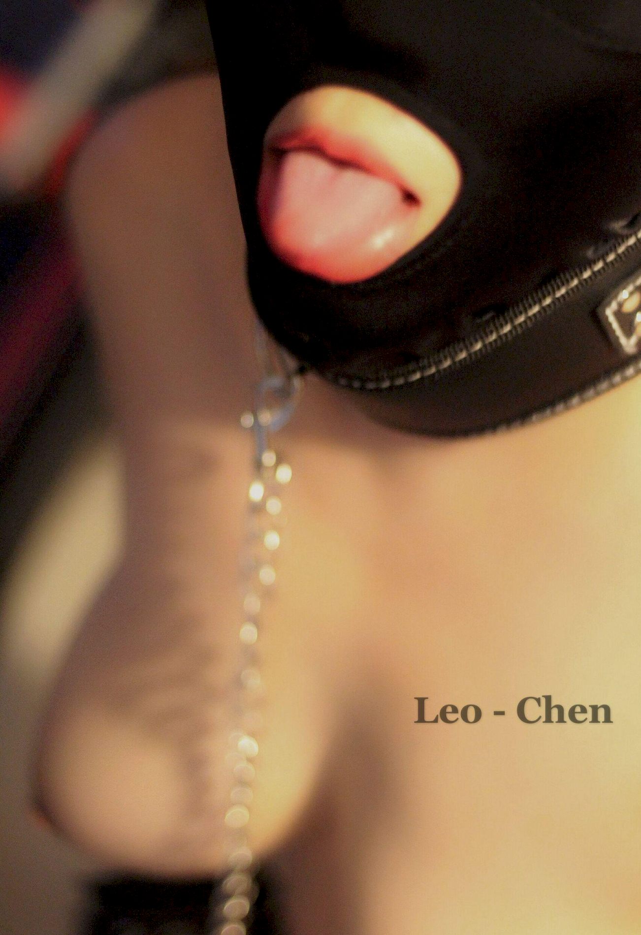 дʦ  ģ  Chen ղؼ Ʒ ģ Leo P.1 